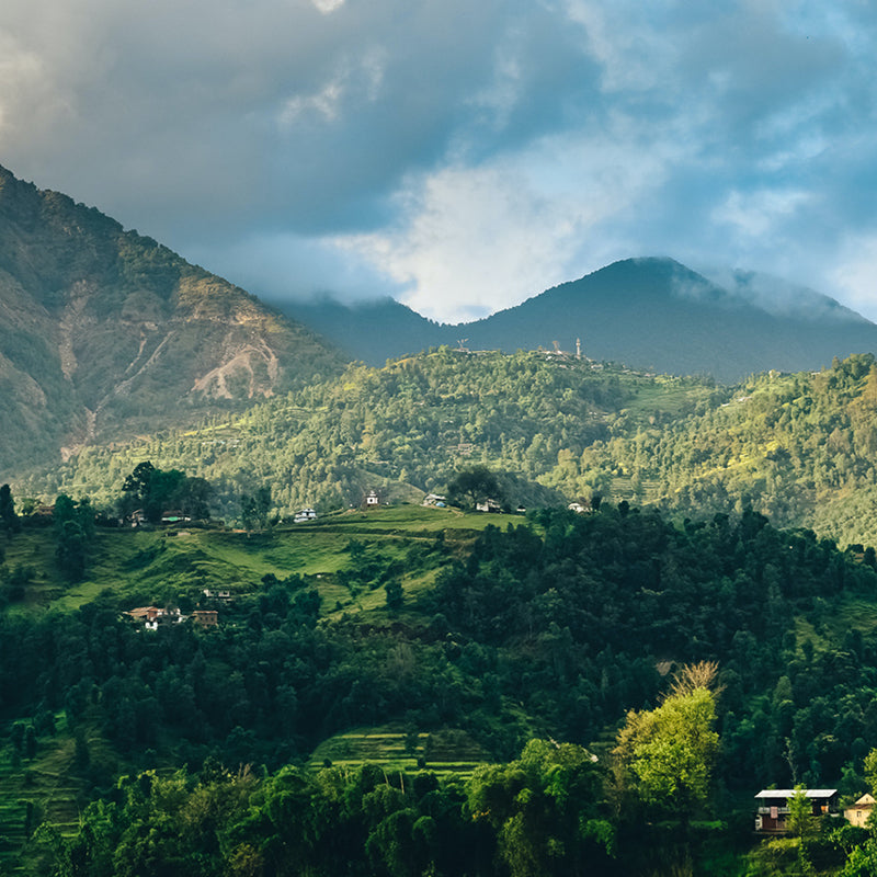 Nepal Wool a picture of the mountains of Nepal